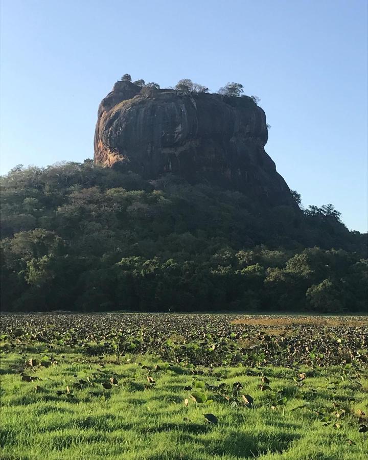 Sigiriya Village Home Stay ภายนอก รูปภาพ